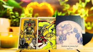 Taurus 🍀 CONGRATULATIONS TAURUS EXCITING NEWS SOON  ♉️Money Tarot [upl. by Shannon754]