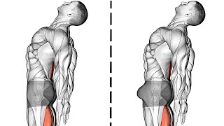 Kegel Exercises For Men Pelvic Floor Exercises [upl. by Fonseca]