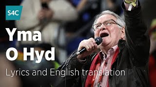 Yma o Hyd  Dafydd Iwan  Dafydd Iwan sings Yma o Hyd with lyrics and English translation  S4C [upl. by Budwig941]