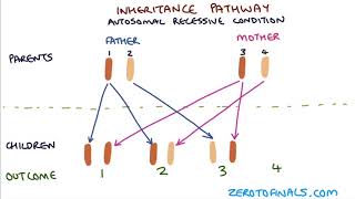 Understanding Autosomal Dominant and Autosomal Recessive Inheritance [upl. by Eatnoid]