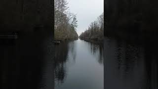 Dismal Swamp NC [upl. by Aerona]