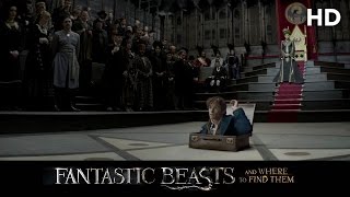 Fantastic Beasts and Where to Find Them 2016 Macusa HD [upl. by Nnylasor568]