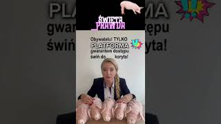 Platforma u koryta‼️po świnie shorts polityka polska memes memy pis [upl. by Imiaj]