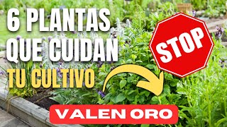 ¡Descubre las 6 Plantas que Cuidarán tu Huerto Sin Químicos [upl. by Eniretak792]