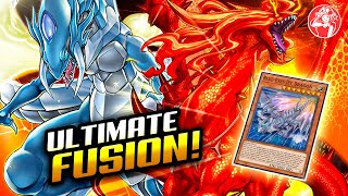 Branded BlueEyes Master Duel Deck 🔥 ft BLUEEYES JET DRAGON ❗  YuGiOh MASTER DUEL [upl. by Barnaby73]