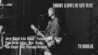 Nirvana  Nobody Knows Im New Wave  Studio Version  Cover by To Boddah [upl. by Anelat]