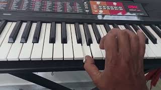 Pothivecha malliga mottu song keyboard playMann vasanai movie [upl. by Ynnel]