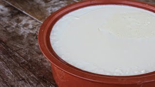 Πως να φτιάξετε το τέλειο Γιαούρτι  How to make the perfect Greek Yogurt [upl. by Erie]