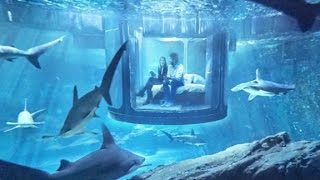 Underwater bedroom lets you sleep with sharks [upl. by Lasko]