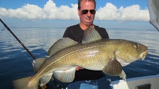 Spodsbjerg Langeland 2015  SDM Fishing Dänemark Dorsch Danmark Torsk  Denemarken Kabeljauw [upl. by Lewin]