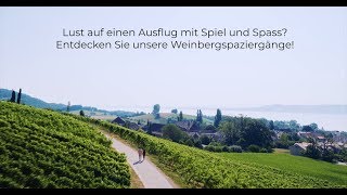 Entdecken Sie die Waadtländer Weinbergspaziergänge [upl. by Clerc]