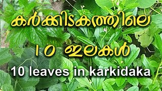 10 leaves in Karkidakam [upl. by Ninos44]