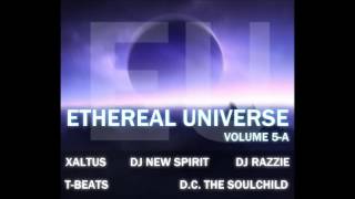 Ethereal Universe Volume 5 A  5 Cashmere Cannonball No More Heroes Remix [upl. by Acimahs]