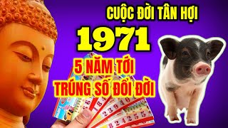 Thời Vàng Đã Tới Tân Hợi 1971 Trúng Số May Mắn Đúng 5 Năm Giàu Có Như Mơ [upl. by Amri]