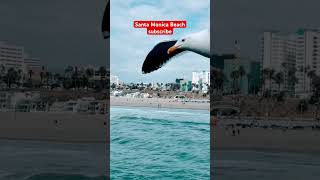 Walking Tour in Santa Monica Beach California check the full video on the Channel [upl. by Einnaoj]