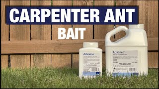 Advance Carpenter Ant Bait [upl. by Lauri]