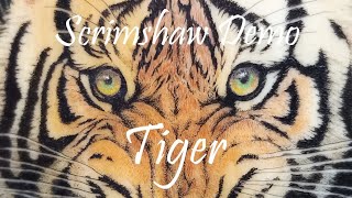 Scrimshaw Demonstration  Tiger by Adams 5 2024 [upl. by Diraf]