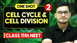 CELL CYCLE amp CELL DIVISION  Complete Chapter in One Video  ConceptsPYQs  Class 11th NEET [upl. by Alleoj]