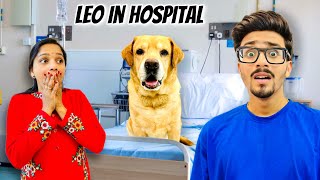 LEO IN HOSPITAL  Leo Ko Kya Hogya  Anant Rastogi [upl. by Yrekaz]