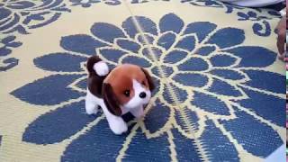 Walking and barking Cute Puppy Toy [upl. by Anyad532]