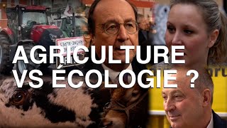 LAGRICULTURE pourquoi incompatible avec lécologie [upl. by Lissner827]