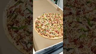 negative 😔 review pizza pizzalover foodie pizzatime instafood italianfood ashishchanchalvlog [upl. by Knight]