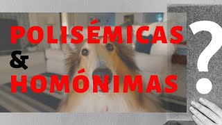 Palabras Polisémicas y Homónimas  ¿QUE SON y PARA QUE SIRVEN [upl. by Crescantia]