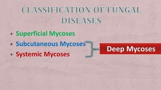 Classification of Mycosis  Superficial Cutaneous Subcutaneous Systemic mycosis [upl. by Allyce]