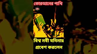 বিশ্ব নবী মদিনায় প্রবেশ করলেন  allama delwar hussain saidi waz দেলোয়ারহোসাইনসাঈদী [upl. by Anirtak]