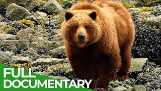 Glacier Bay National Park  Pristine Beauty in Alaskas South  Free Documentary Nature [upl. by Latsirc]