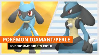 Pokémon Strahlender Diamant amp Leuchtende Perle Riolu bekommen [upl. by Dalpe399]