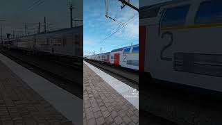 nmbs treinen belgium fyp sncb trainspotting [upl. by Valeda896]