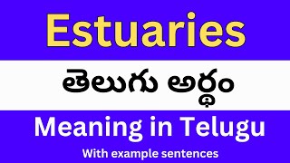 Estuaries meaning in telugu with examples  Estuaries తెలుగు లో అర్థం Meaning in Telugu [upl. by Trella]