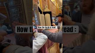 Torah reading jewishreligion torah [upl. by Leola]