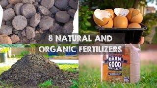 8 Natural and Organic Fertilizers to Grow Big Plants [upl. by Dinsmore]