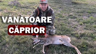 VÂNĂTOARE LA CĂPRIOARĂ 2024 MANAGEMENTUL SPECIEI EPISODUL 2  DEER HUNTING 2024 [upl. by Ignazio]