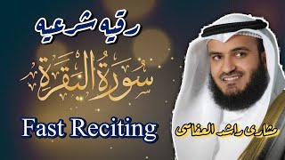 ruqya sharia for black majic  fast reciting Surah AlBaqarah Mishary Rashid Alafasy  سورة البقرة [upl. by Neenaj236]