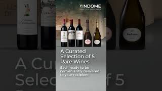 Vindome Christmas Gift selection [upl. by Adnihc]