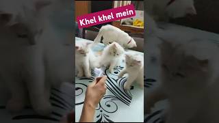 Khel khel mein [upl. by Yetah]