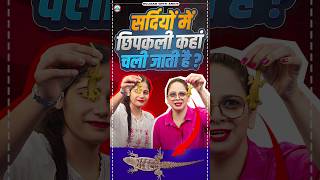 सर्दियों में छिपकली कहां चली जाती है lizards biology rwa [upl. by Rialc]