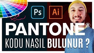 Pantone Renk Kodu Nasıl Bulunur Adobe İllustrator ve Photoshop [upl. by Cheatham]