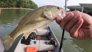 Bass Fishing at smith mountain lake [upl. by Mayor372]