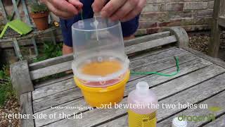 How To Set Up Your Dragonfli Wasp Trap [upl. by Berthoud525]