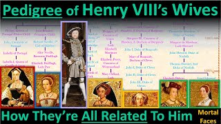 The Pedigree of Henry VIIIs Wives How Theyre All Related to the Tudor King Family Tree Explained [upl. by Campos]