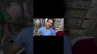 Usama bhai na mishkat bhai ko surprise daya viralvideo subscribe [upl. by Norry]