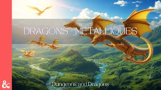 Les Dragons Métalliques  Donjon et Dragon [upl. by Ralaigh]