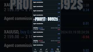 HFT BOT Profit 8 892 WP7 propfirm forex trading forextrading money hft hftrobot [upl. by Flinn750]