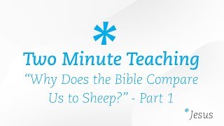 2MT 009  quotWhy Does the Bible Compare Us to Sheepquot Part 1  Two Minute Teaching  Reasons for Hope [upl. by Kathie]