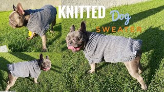 Knitted sweater for dog using addi express knitting machine  DIY [upl. by Ydnim]