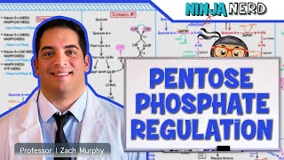 Metabolism  Regulation of Pentose Phosphate Pathway [upl. by Sascha]